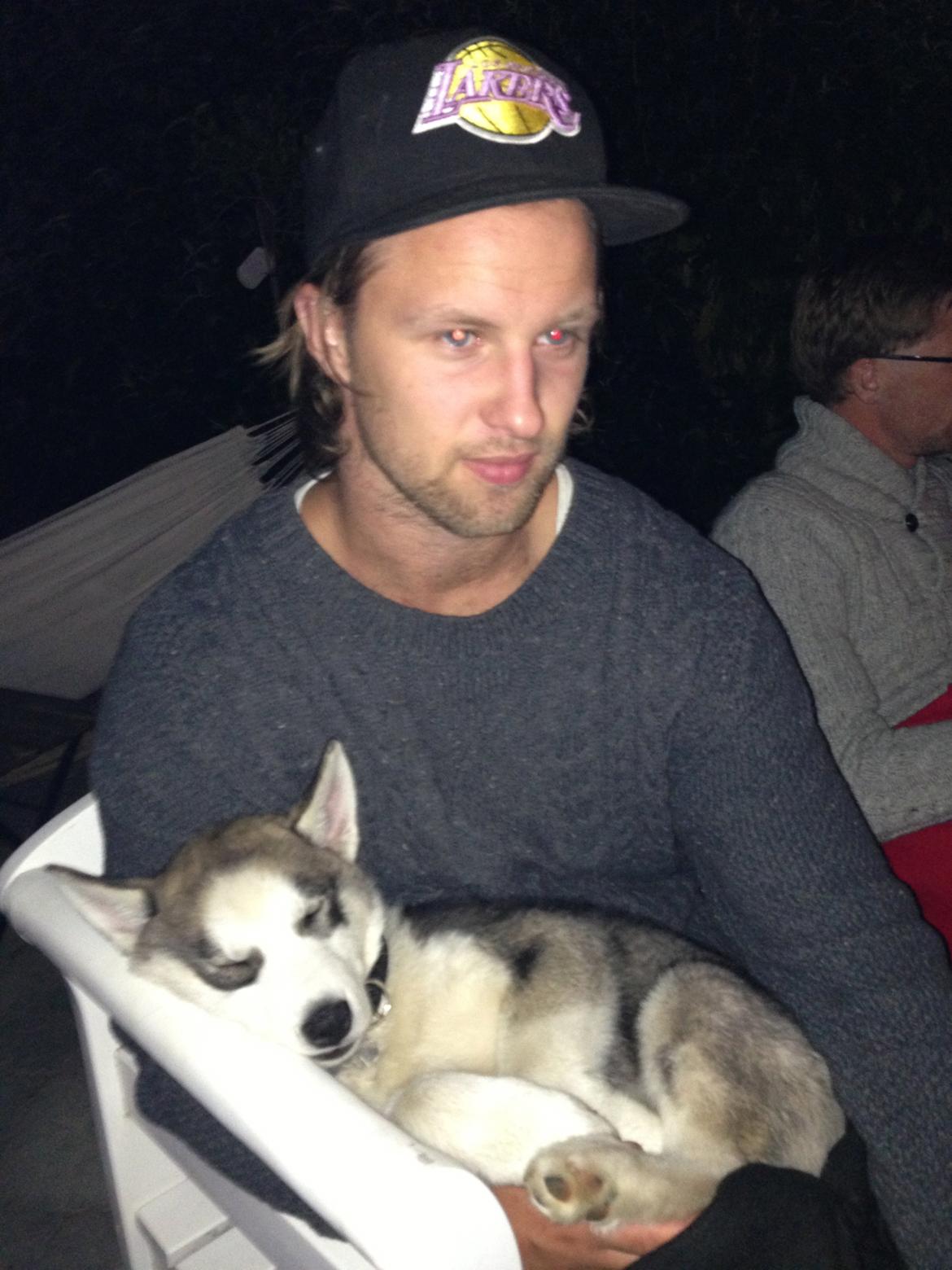 Siberian husky Aslan billede 5