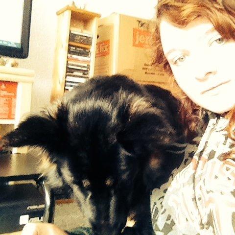 Schæferhund Freja billede 7