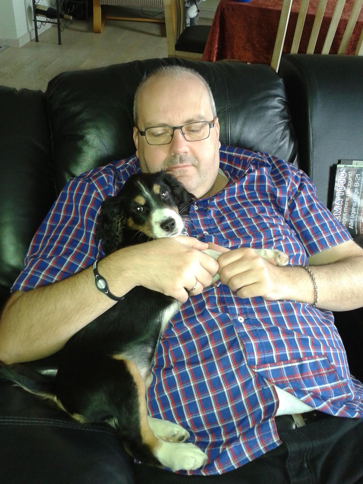 Blanding af racer Cody billede 20