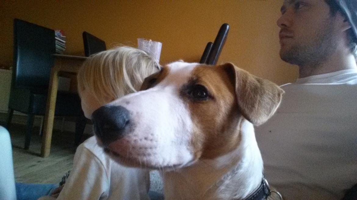 Blanding af racer Vega billede 30