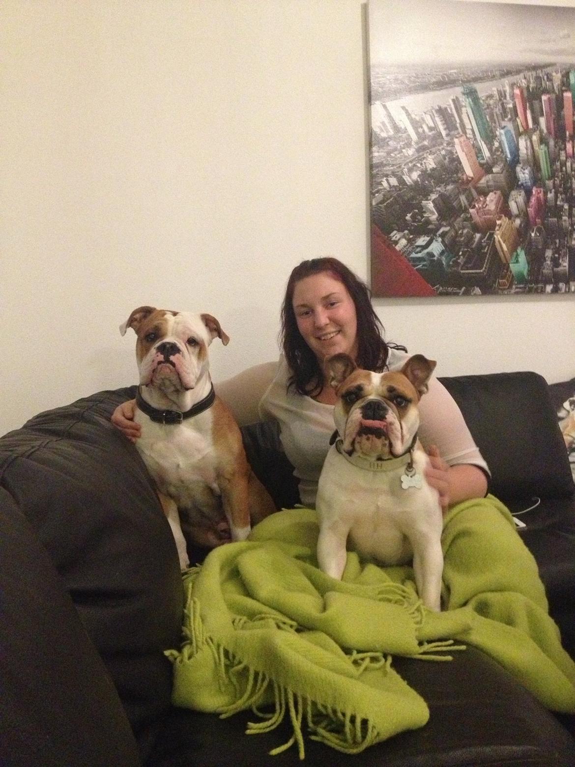 Blanding af racer William billede 30