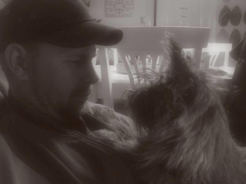 Cairn terrier Karlo billede 6