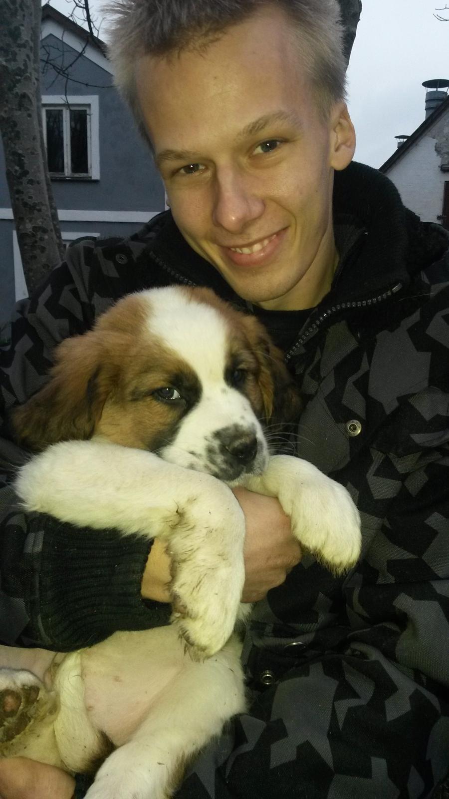 Blanding af racer Kenzo - Lige samlet op fra hundegården, og klar til hjemturen :) billede 9