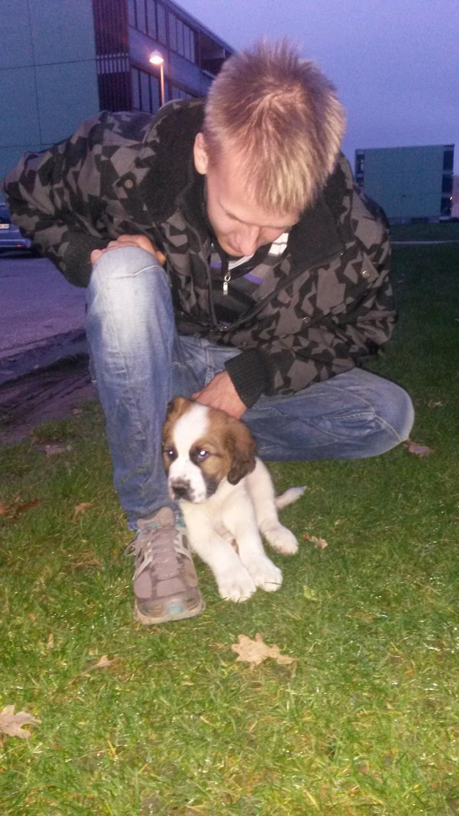 Blanding af racer Kenzo - Så kom vi hjem, og Kenzo gemmer sig bag far's ben billede 11