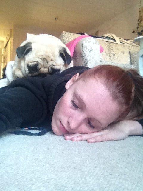 Mops Karla billede 19