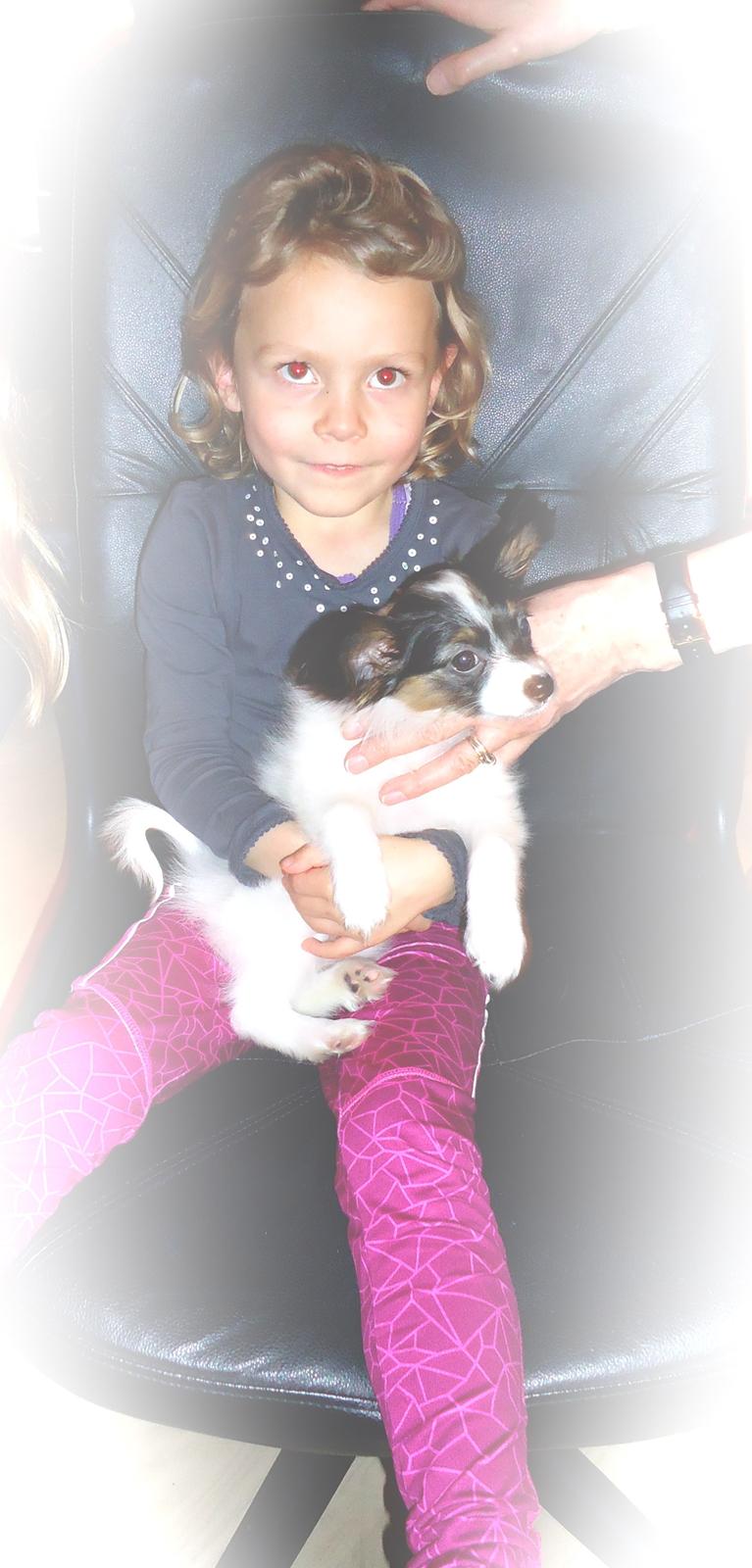 Papillon Flowerbirds Zia Be My Beauty billede 46