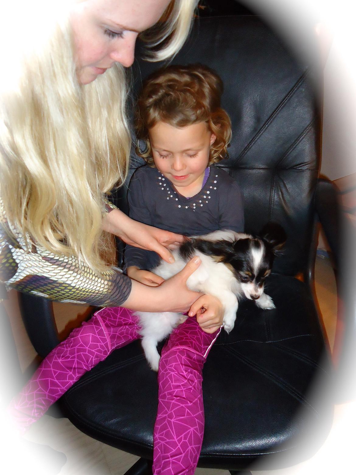 Papillon Flowerbirds Zia Be My Beauty billede 45