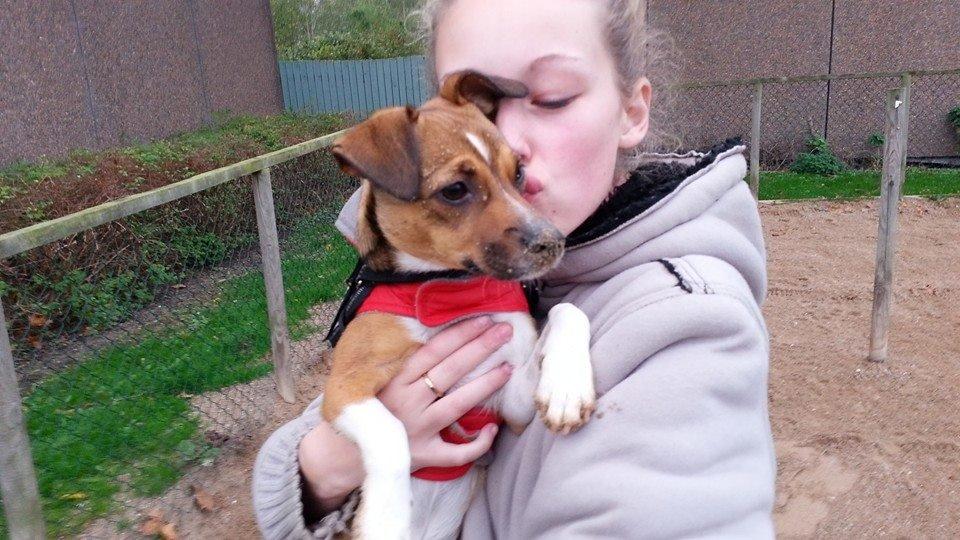 Blanding af racer coco - mig og min mor :-) billede 37