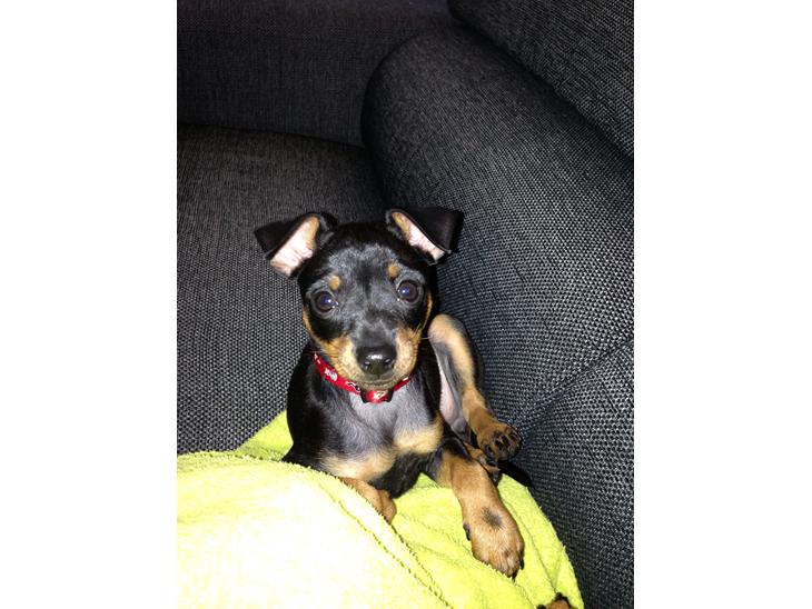 {{currentPhoto.altText}} billede {{currentPhoto.number}}