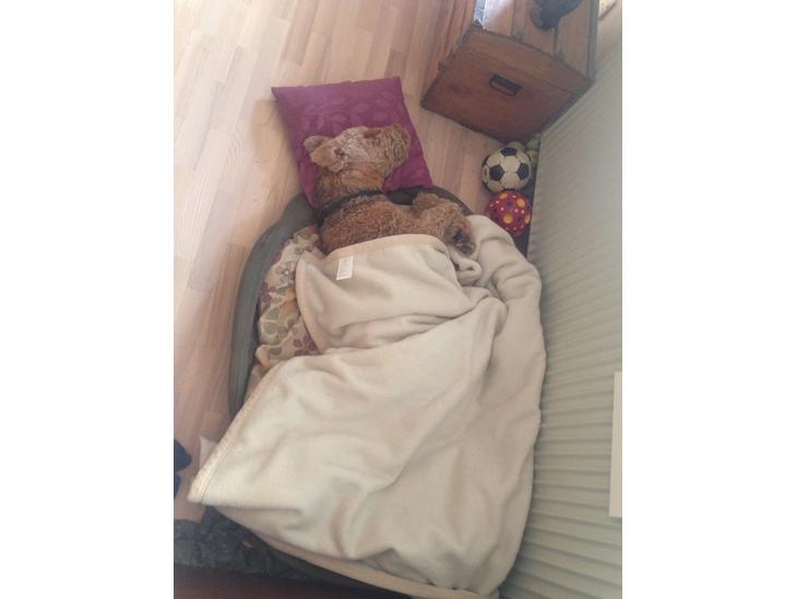 {{currentPhoto.altText}} billede {{currentPhoto.number}}