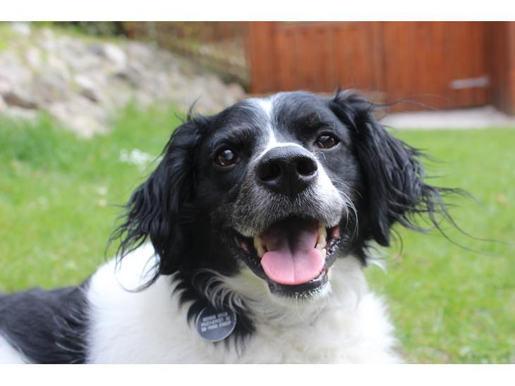 {{currentPhoto.altText}} billede {{currentPhoto.number}}