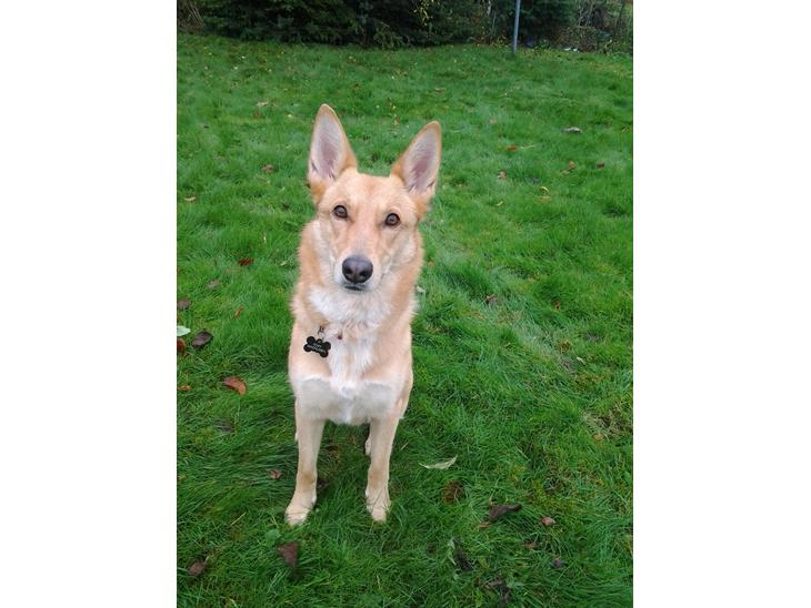 {{currentPhoto.altText}} billede {{currentPhoto.number}}