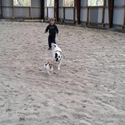 Blanding af racer Bertram