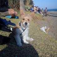 Blanding af racer Thierry Henry