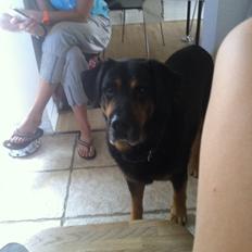 Blanding af racer ib