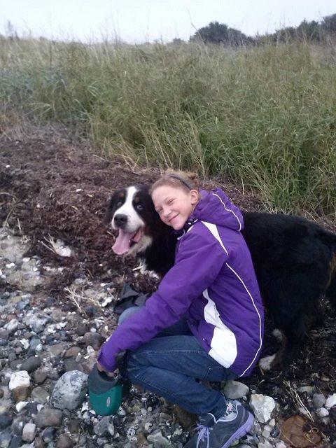 Berner sennenhund Boomer *R.I.P* - Boomer og Mathilde pigen efteråret 2013 ved stranden billede 33
