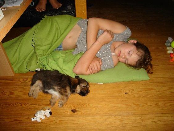 Blanding af racer Anton billede 3