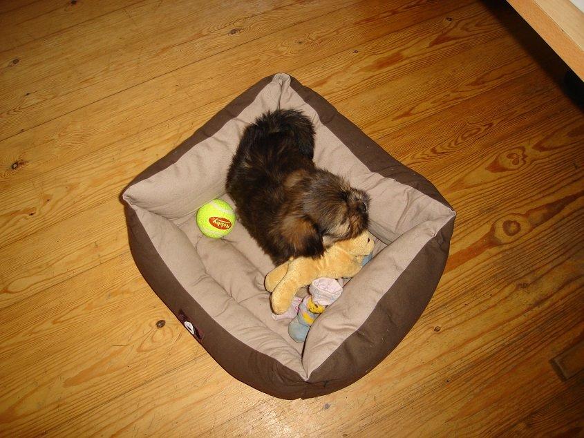 Blanding af racer Anton billede 7