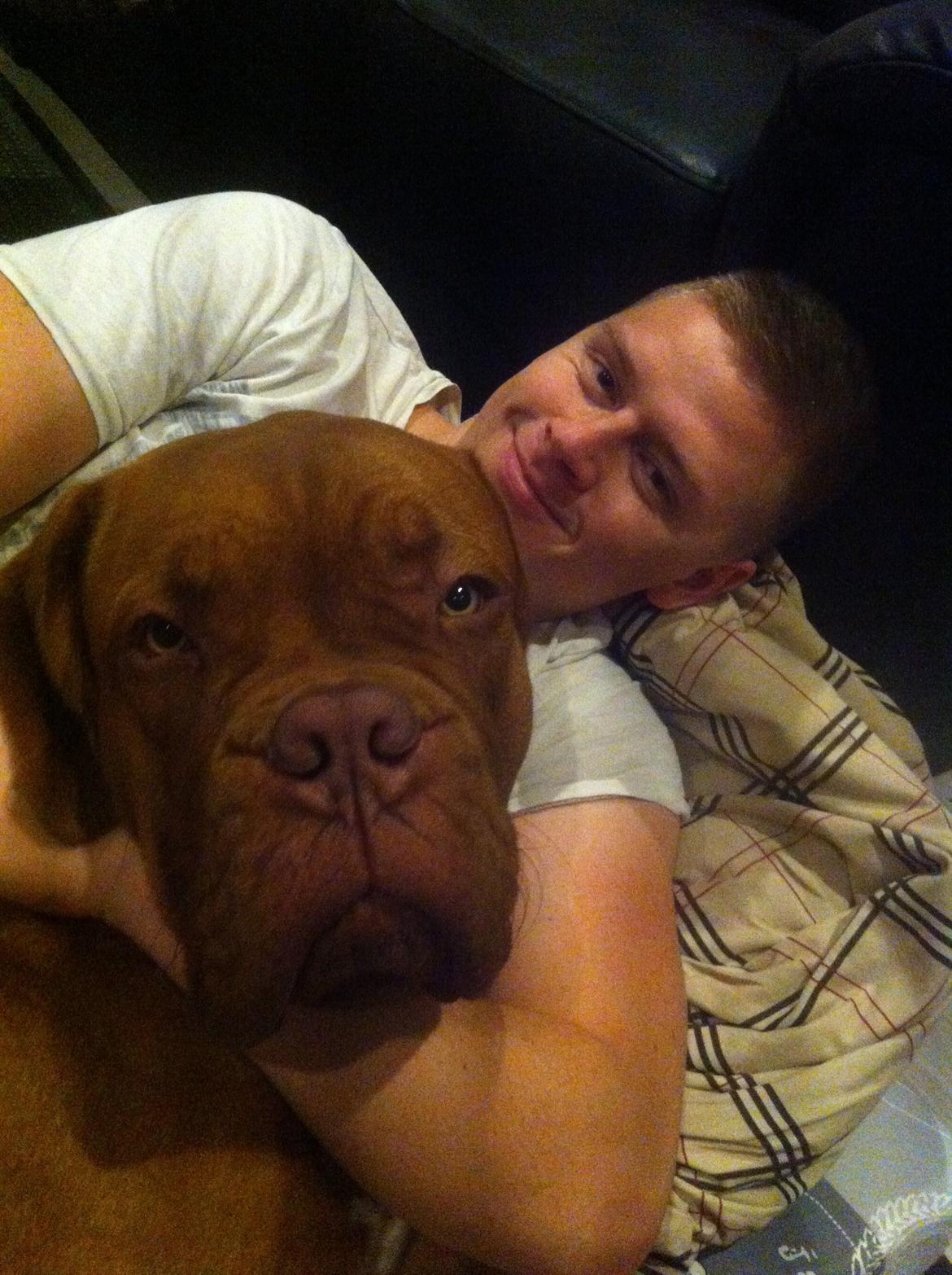 Dogue de bordeaux Hooch billede 18