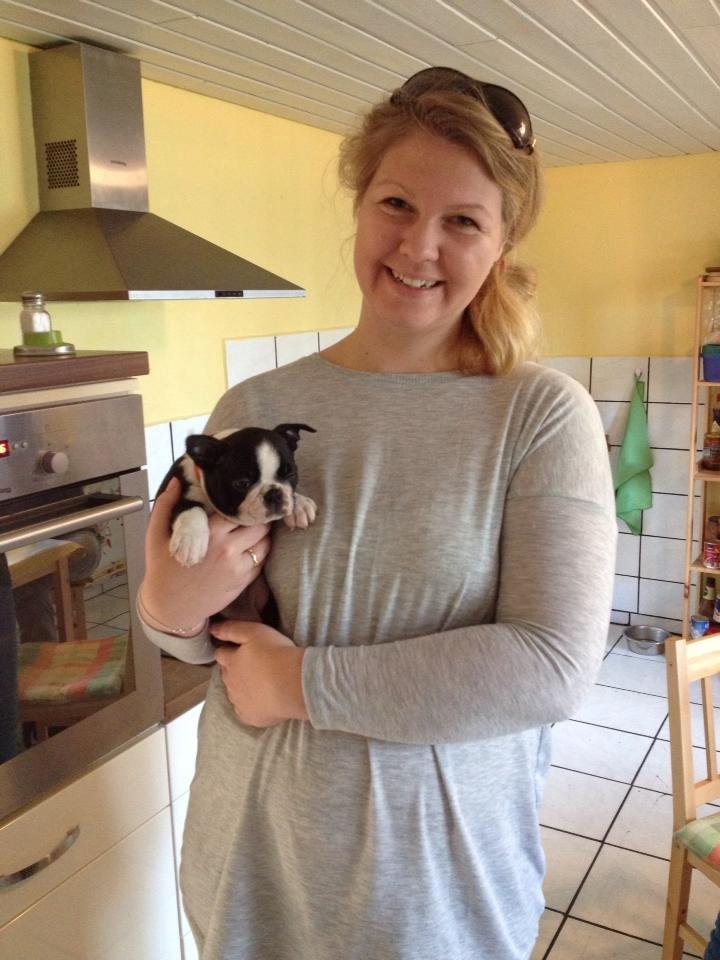 Boston terrier Beautiful Aya vom Greifenring - Så går turen hjem til DK. billede 10