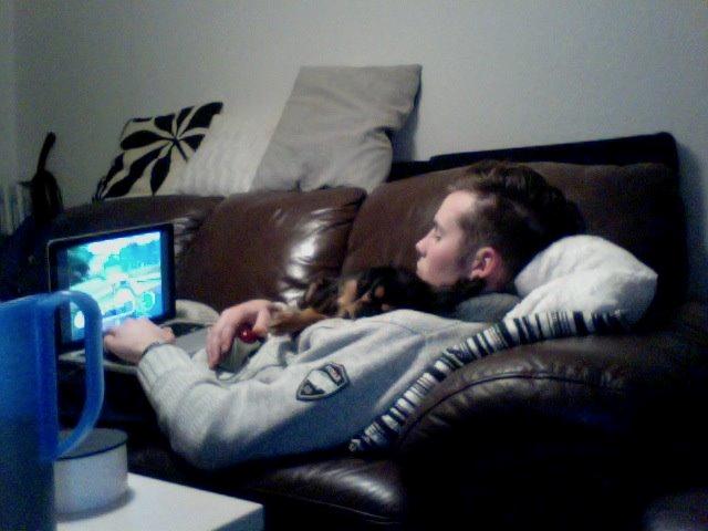 Cavalier king charles spaniel Choko - Choko tager lige en lille lur på far billede 6