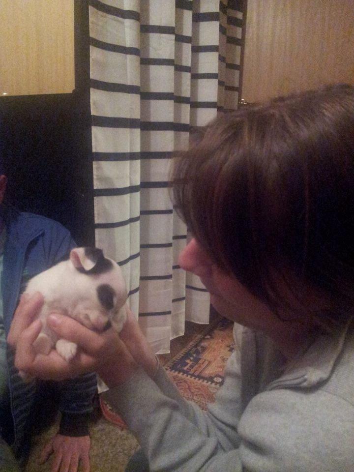 Chihuahua Miszja - 31 Oktober, første gang jeg møder det lille vidunder, hun faldt i søvn i mine hænder <3 billede 46