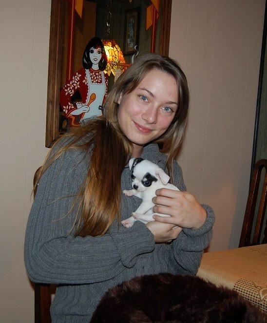 Chihuahua Miszja - Taget af opdrætter den 14 November, da jeg hentede Miszja :) billede 44