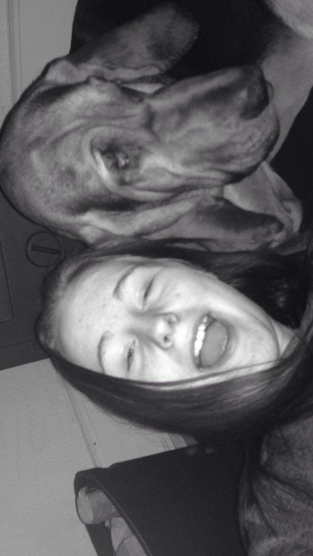 Blodhund Balder billede 5