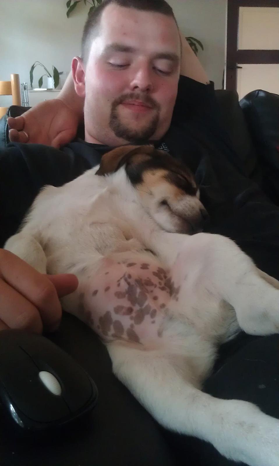 Blanding af racer Jago - godt ...... billede 4