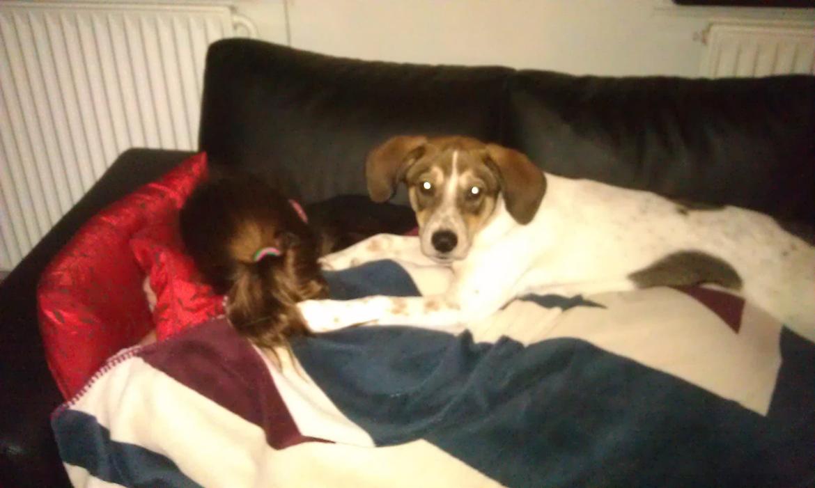 Blanding af racer Jago - Når vi ligger bedst :) billede 17