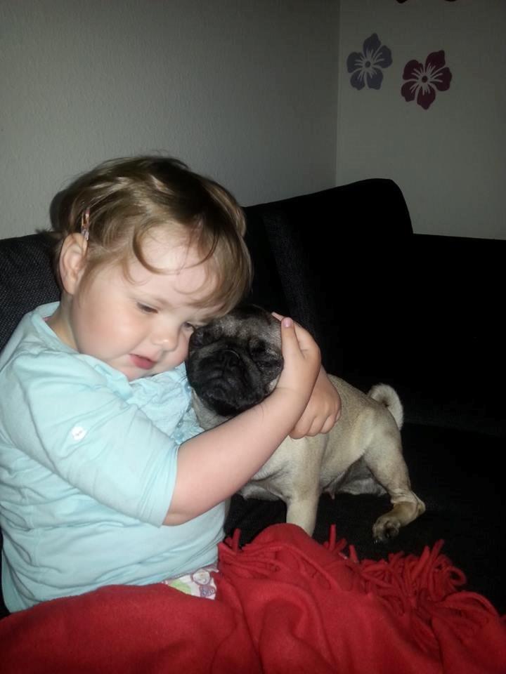 Mops Rosa Himmelhund billede 5