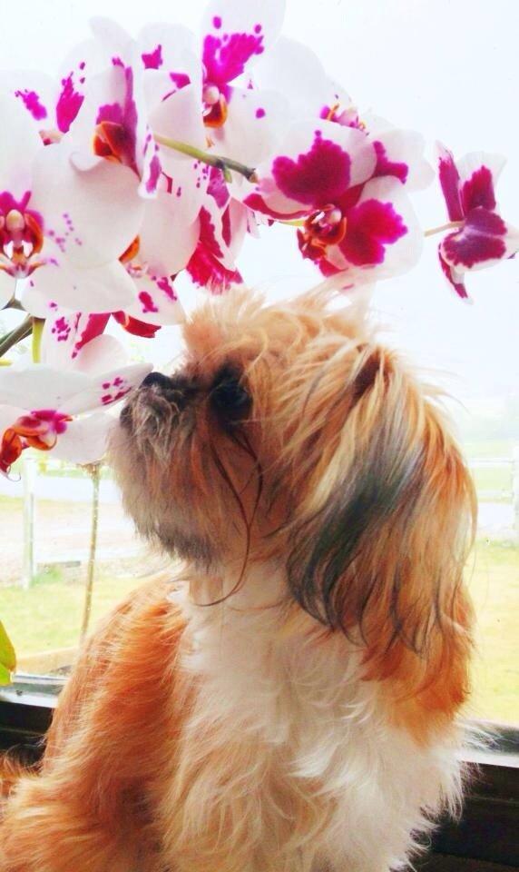 Blanding af racer Bella - 01-09-2013 billede 20