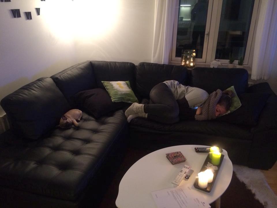 Fransk bulldog Polle - Putter sammen med mor.  billede 7