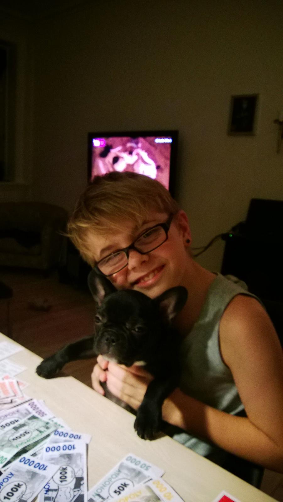 Fransk bulldog Mini billede 3