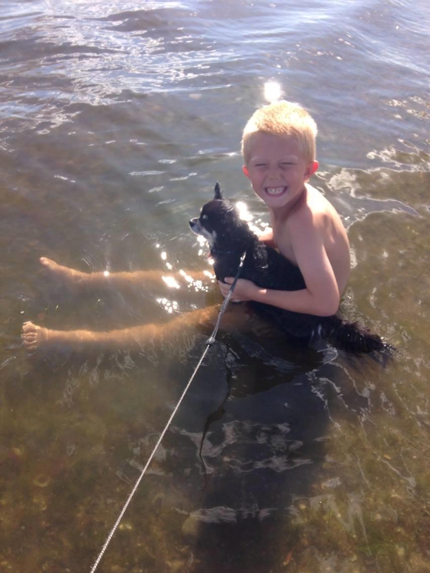 Chihuahua Dee Kay Beautiful Blackie - Mmm, det er rart at bade om sommeren, når det er ALT for varmt :-) billede 24