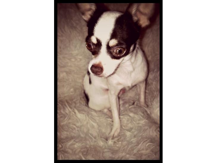 {{currentPhoto.altText}} billede {{currentPhoto.number}}