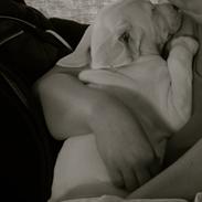 Blanding af racer Nico