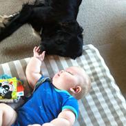 Blanding af racer Luna