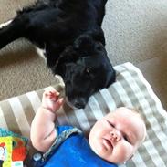 Blanding af racer Luna