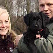 Blanding af racer Bella