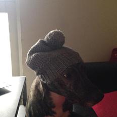 Blanding af racer Tyson