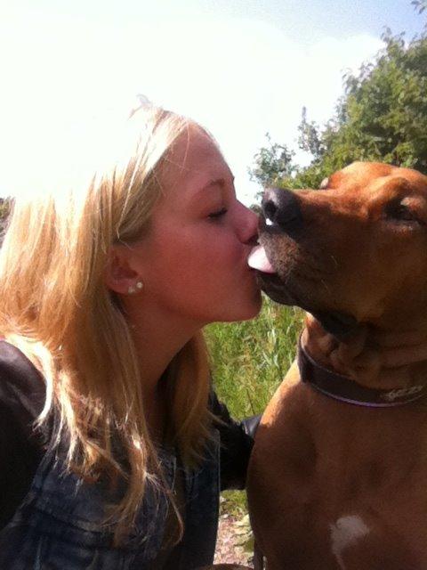 Rhodesian ridgeback Stella - Kys til mor billede 5