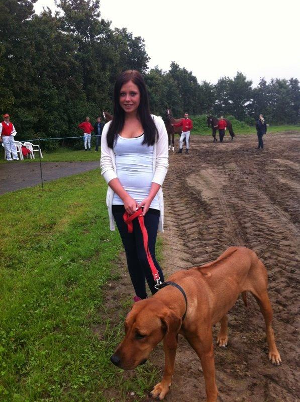 Rhodesian ridgeback Stella - Stella med til hestekåring 2011 billede 7