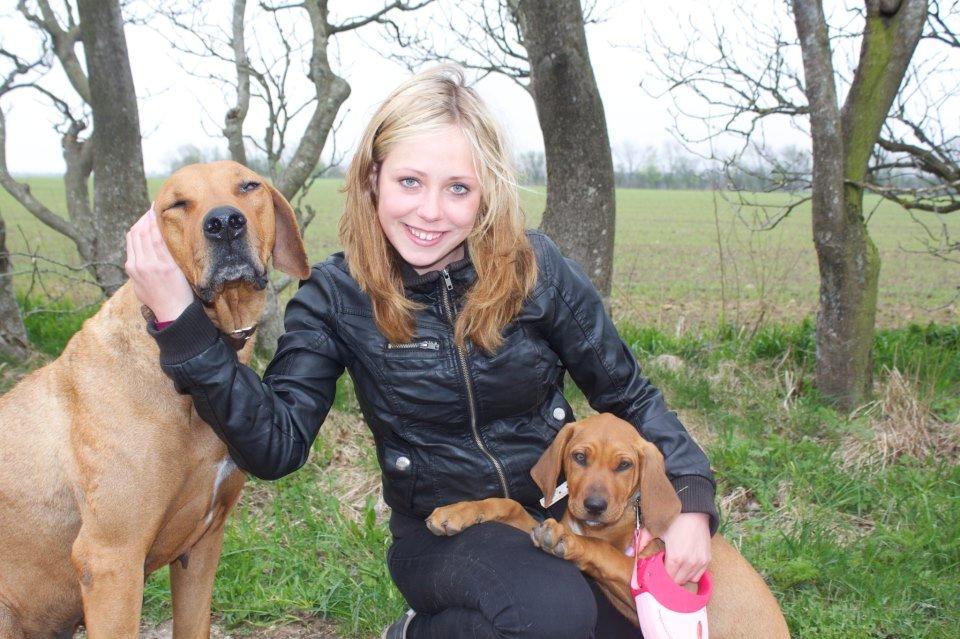 Rhodesian ridgeback Stella - Stella, hendes hvalp Simba og jeg 2013 billede 11