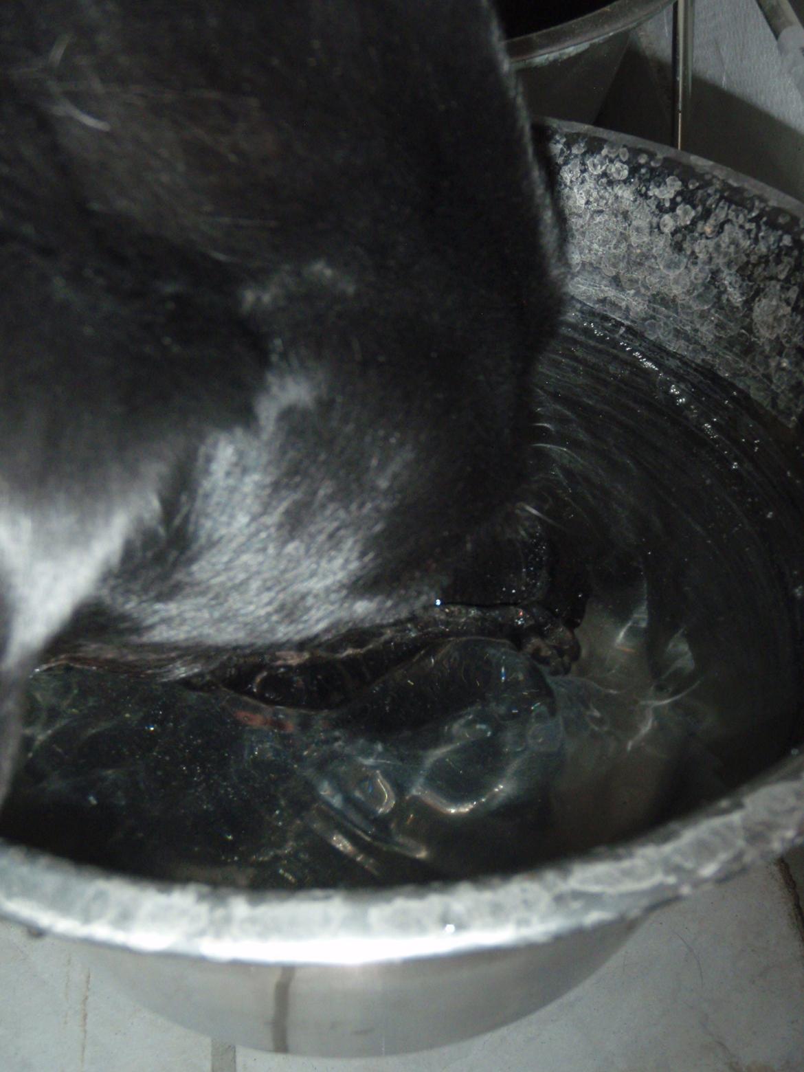 Labrador retriever Oliver. R.I.P - Så skal der dykkes billede 1