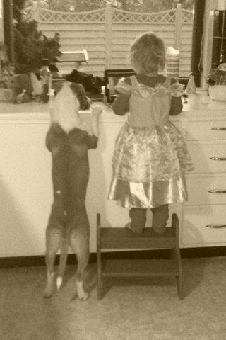 Blanding af racer Vega billede 32