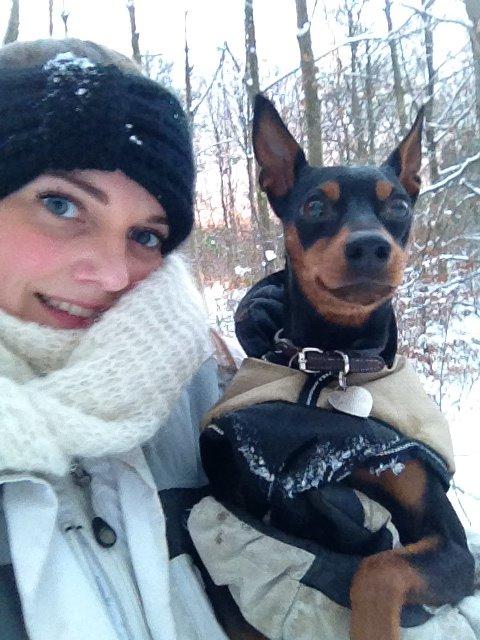 Dvaergpinscher Mille - Mit et og alt for evigt <3 billede 8