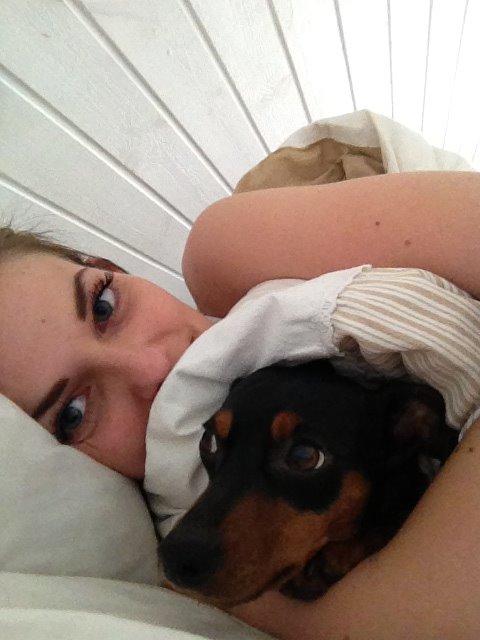 Dvaergpinscher Mille - Morgen putning billede 11