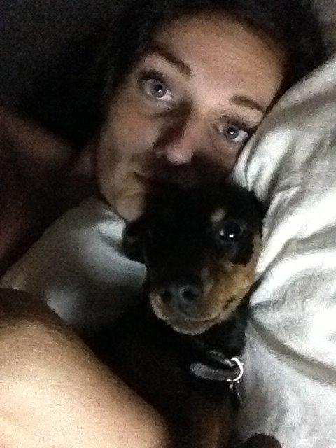 Dvaergpinscher Mille billede 17