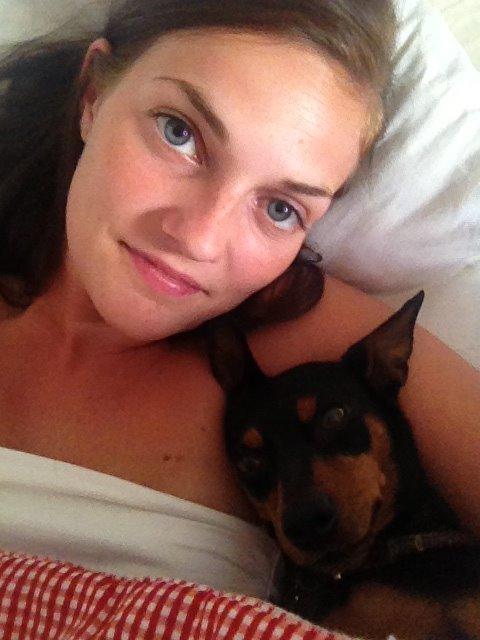 Dvaergpinscher Mille billede 18